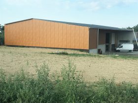 Paneele Holzoptik english walnut